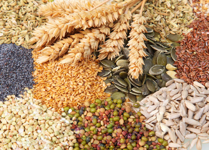 grão que emagrecem