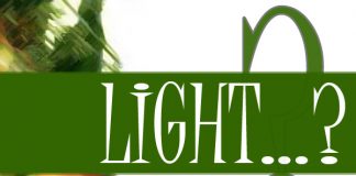 Alimentos Light
