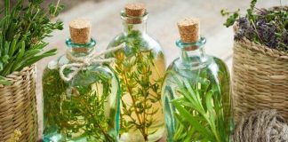 Ervas medicinais para emagrecer