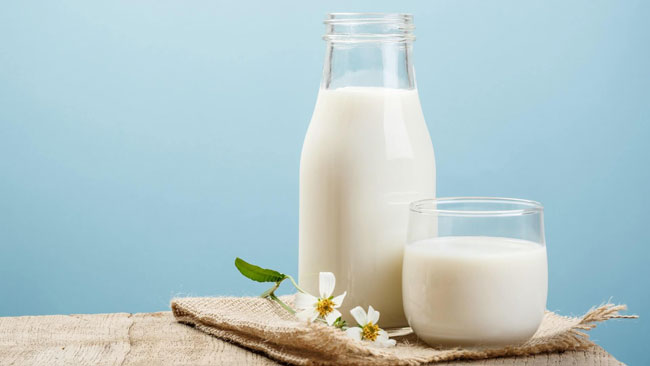 como funciona a dieta do leite