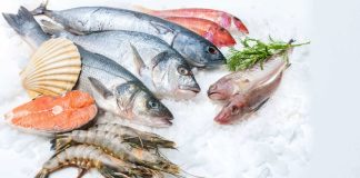 dieta do peixe