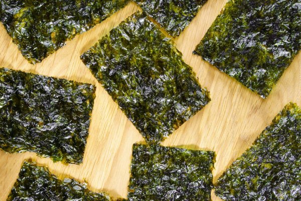 Alga nori