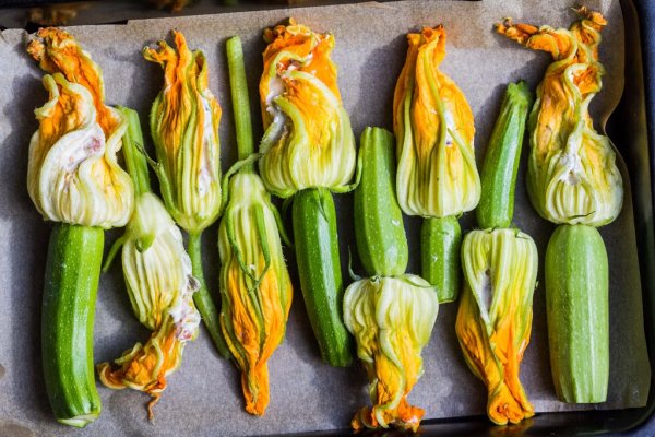Flores de courgettes
