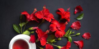 cha de hibisco