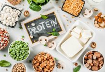 fontes de proteína vegetal
