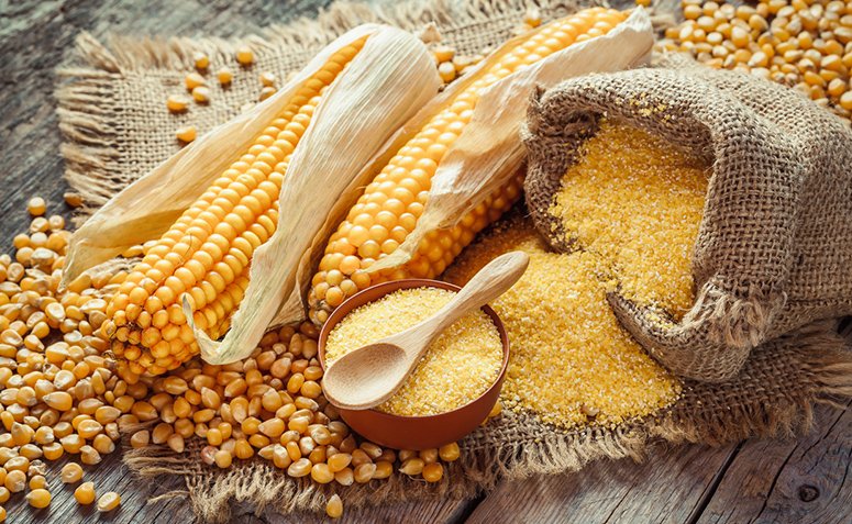 farinha de milho farinha de milho