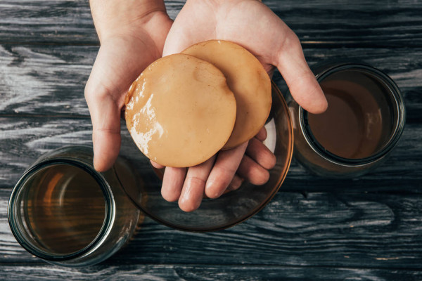 Scoby para kombucha