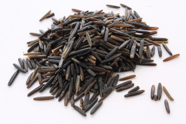 Benefícios do arroz selvagem 